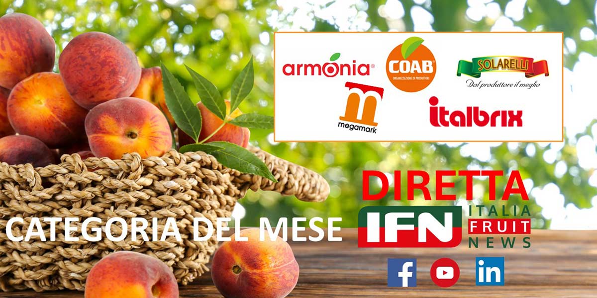 Pesche e nettarine: i prezzi (al consumo) volano, ma i produttori espiantano